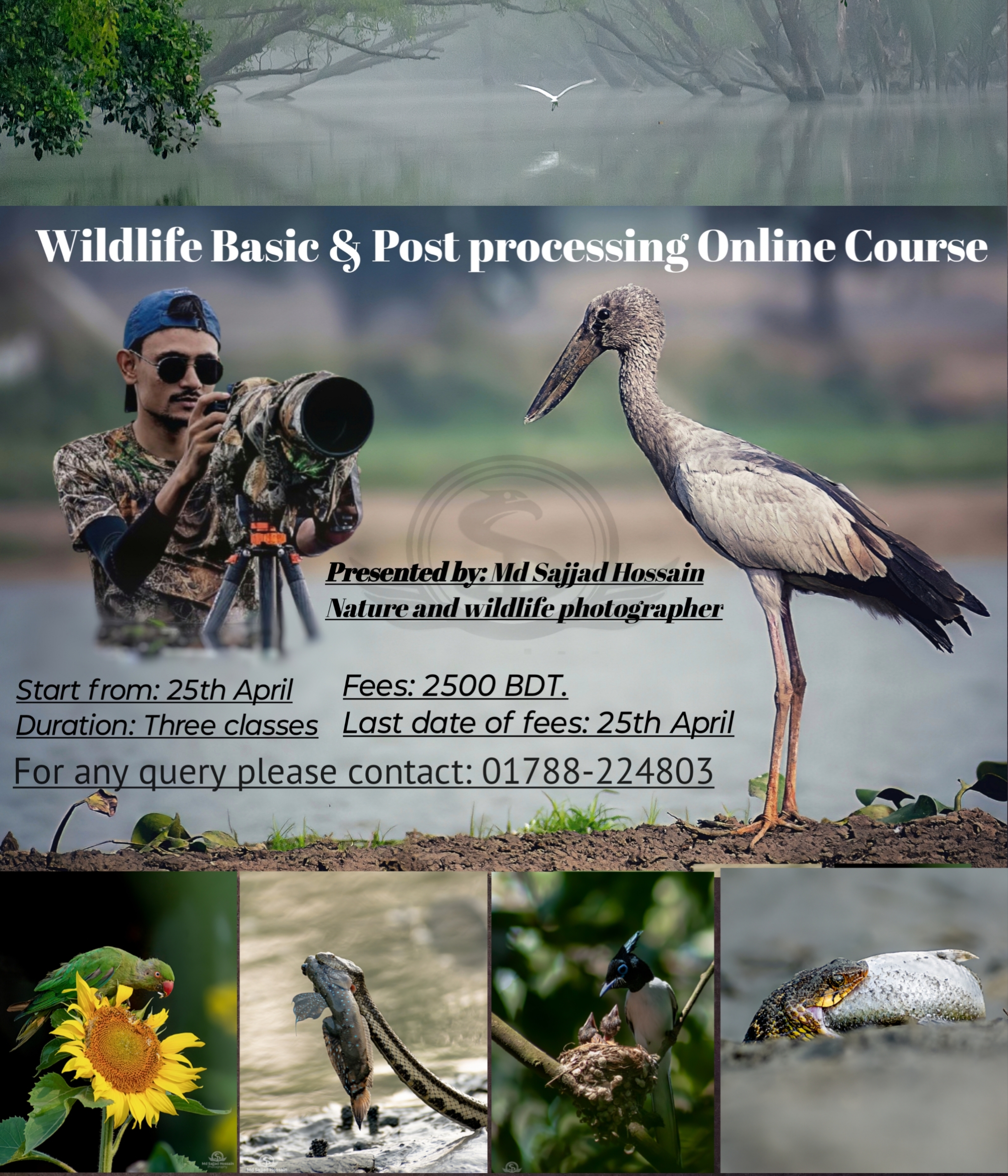 Wildlife Basic & Post processing Online Course